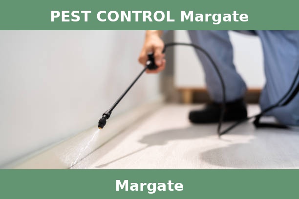PEST CONTROL Margate